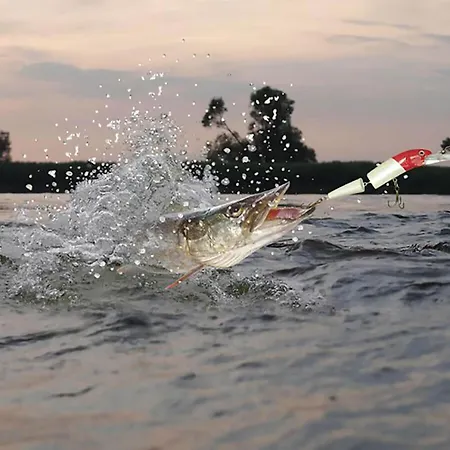 Дом отдыха The Winkler Family